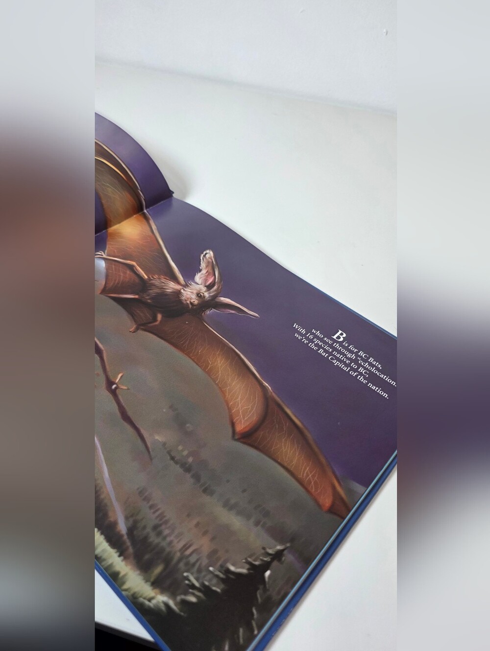 S is for Spirit Bear Hardcover Book - Picture 2 of 6